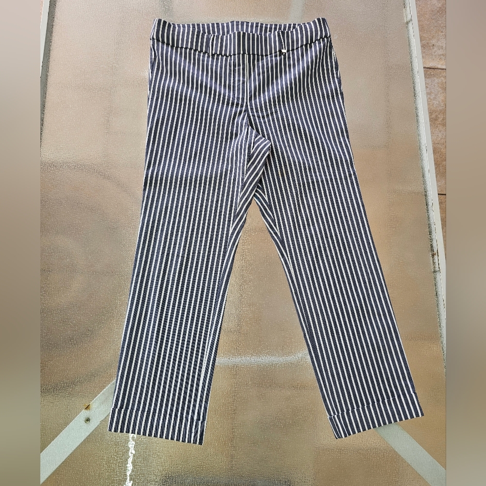 Rafaella Striped Cropped Pants | Nautical Preppy Chic | Stretch Comfort Size 14 - Picture 2 of 9